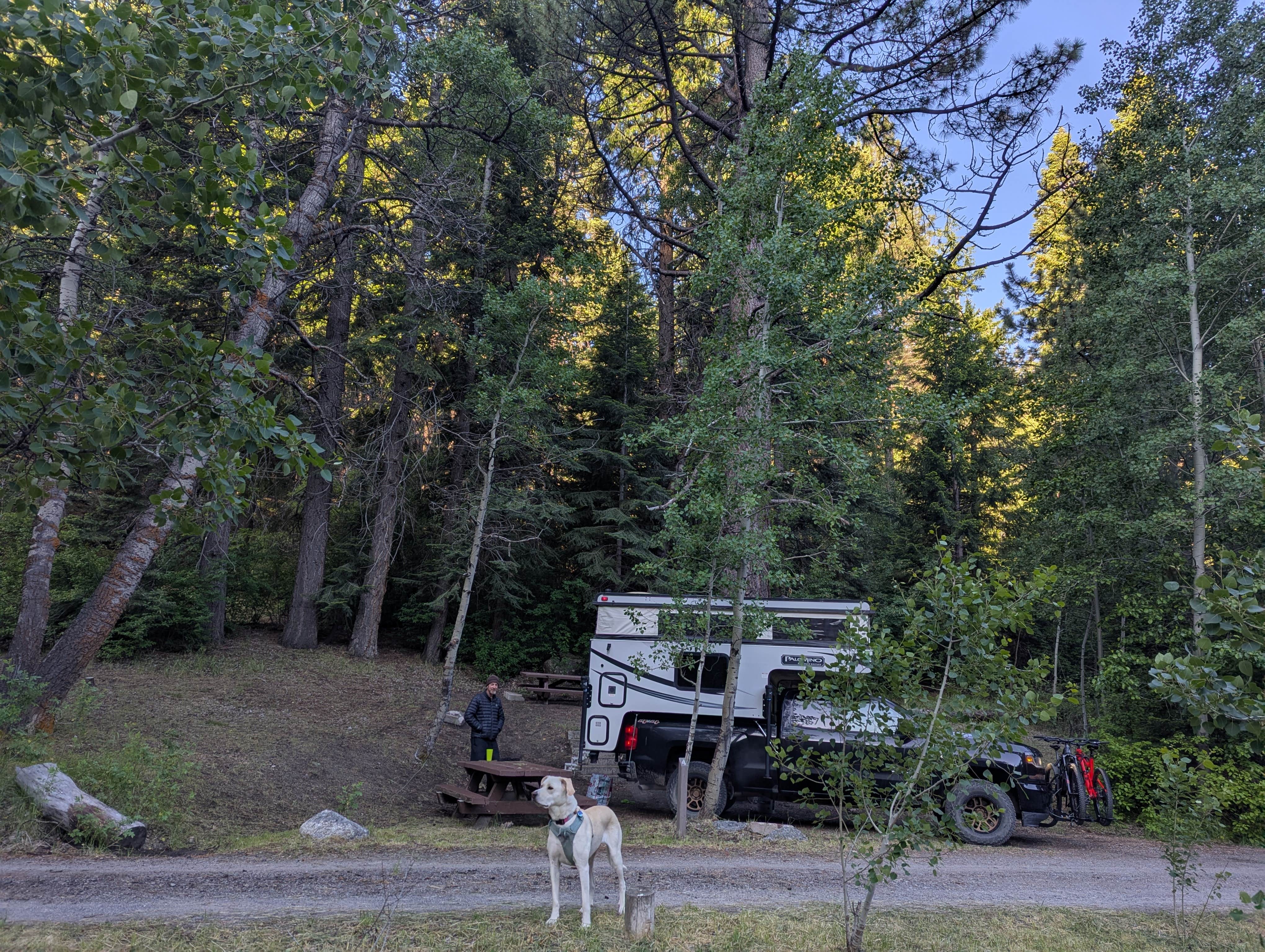 Joletta B.'s photo of camping with pets at Laufman Campground near Janesville, CA