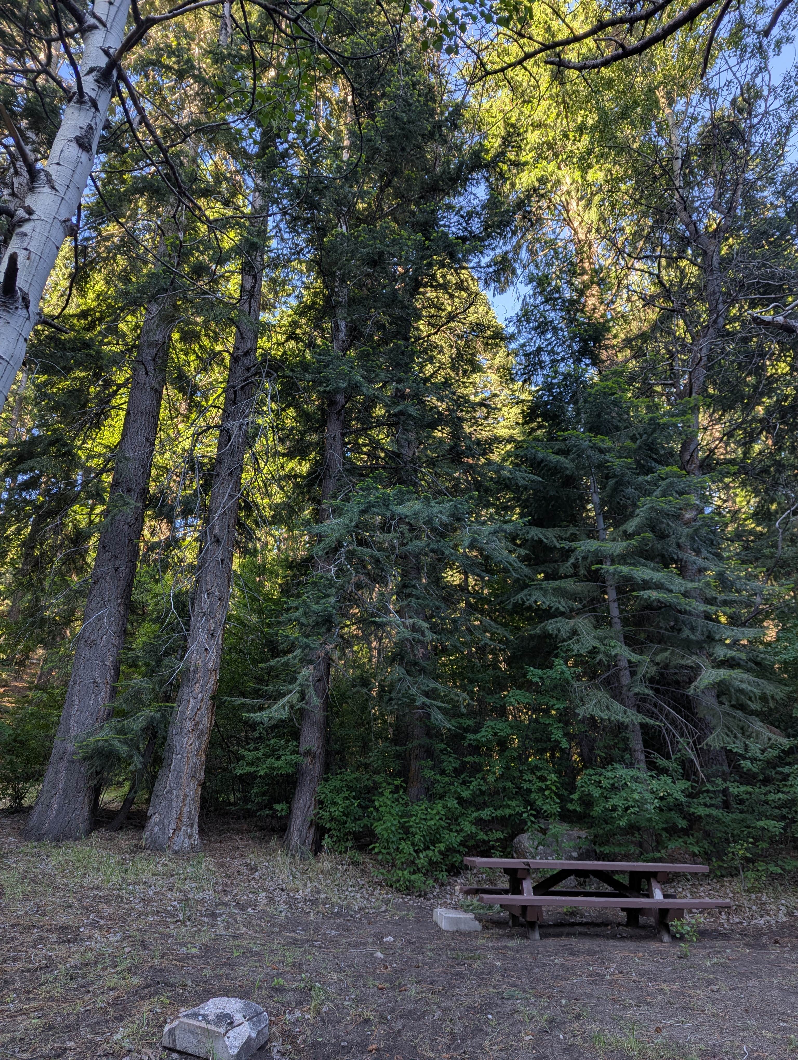 Camper-submitted photo at Laufman Campground near Janesville, CA