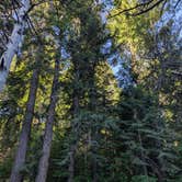 Review photo of Laufman Campground by Joletta B., June 9, 2026