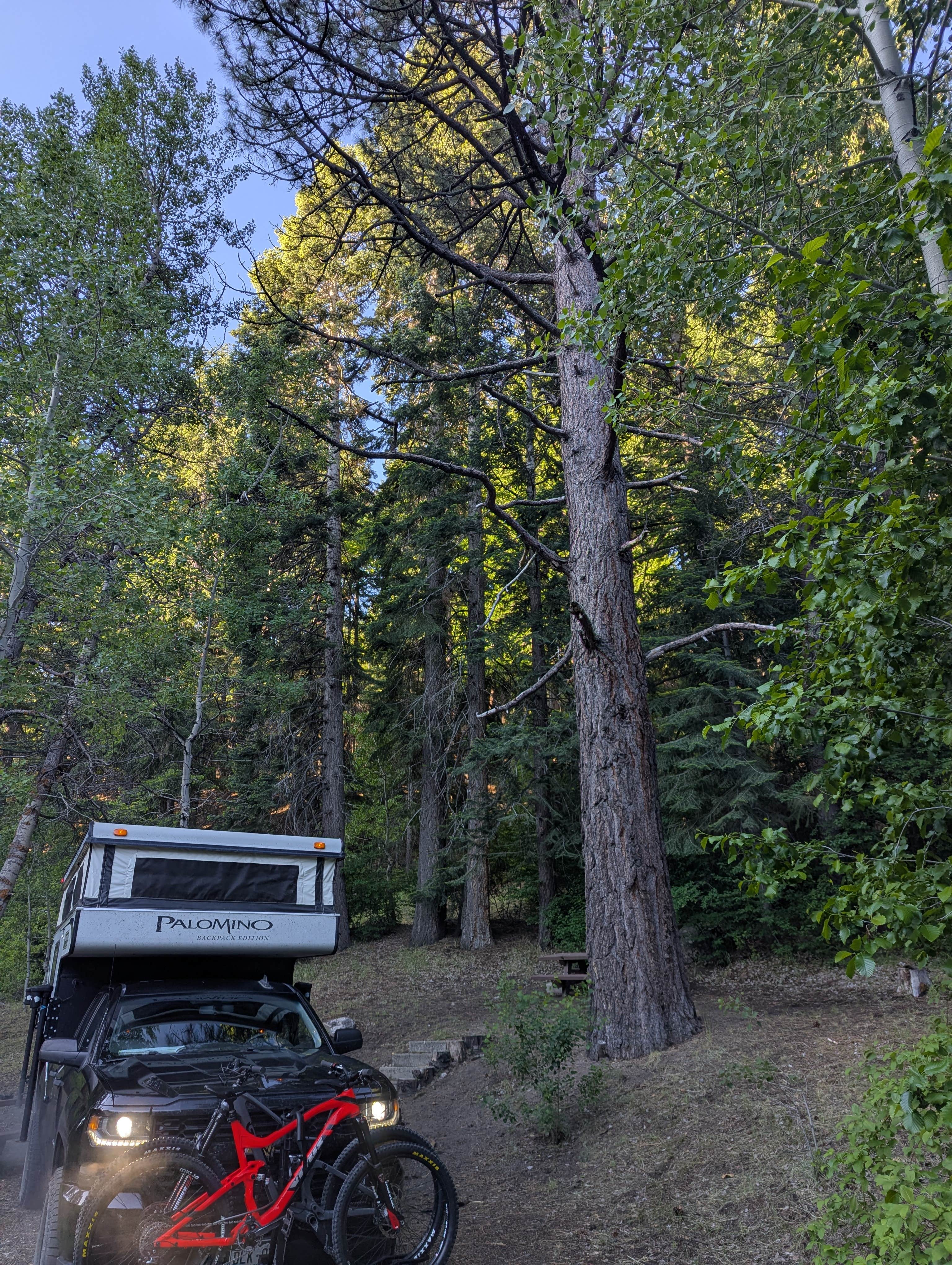 Camper-submitted photo at Laufman Campground near Janesville, CA