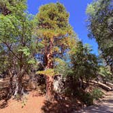 Review photo of Laufman Campground by Tamara W., September 23, 2025