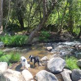 Review photo of Leavis Flat Campground by goose10091203 , June 6, 2025