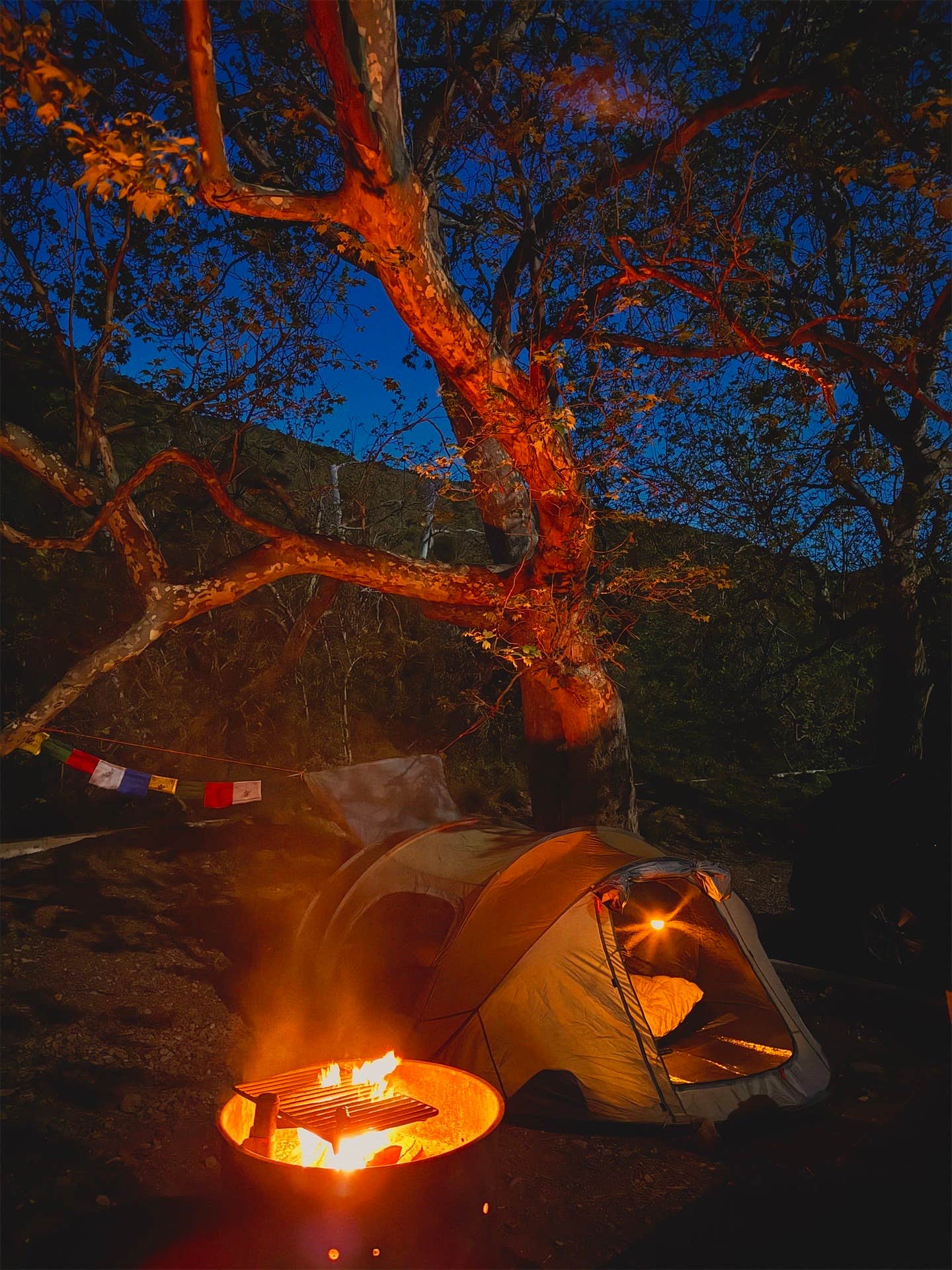 Abigail L.'s photo at Canyon Campground — Leo Carrillo State Park Campground near Agoura Hills, CA