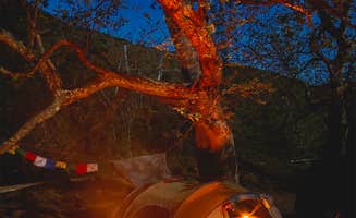 Abigail L.'s photo at Canyon Campground — Leo Carrillo State Park Campground near Calabasas, CA