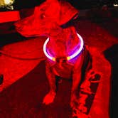 Review photo of Canyon Campground — Leo Carrillo State Park Campground by Abigail L., February 1, 2026