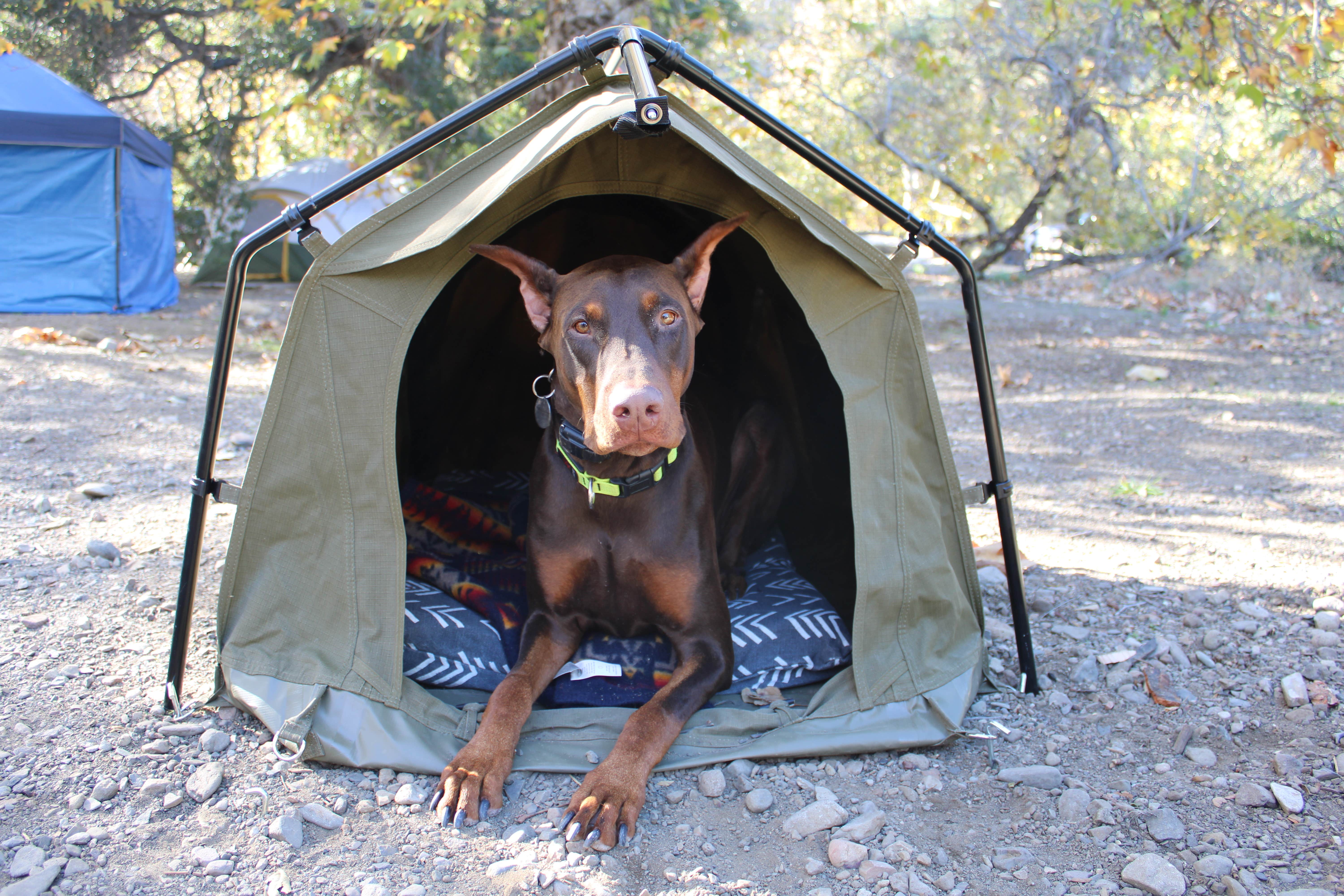 Joe V.'s photo at Canyon Campground — Leo Carrillo State Park Campground near Agoura Hills, CA