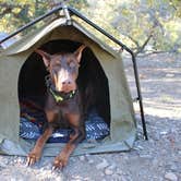 Review photo of Canyon Campground — Leo Carrillo State Park Campground by Joe V., January 22, 2024