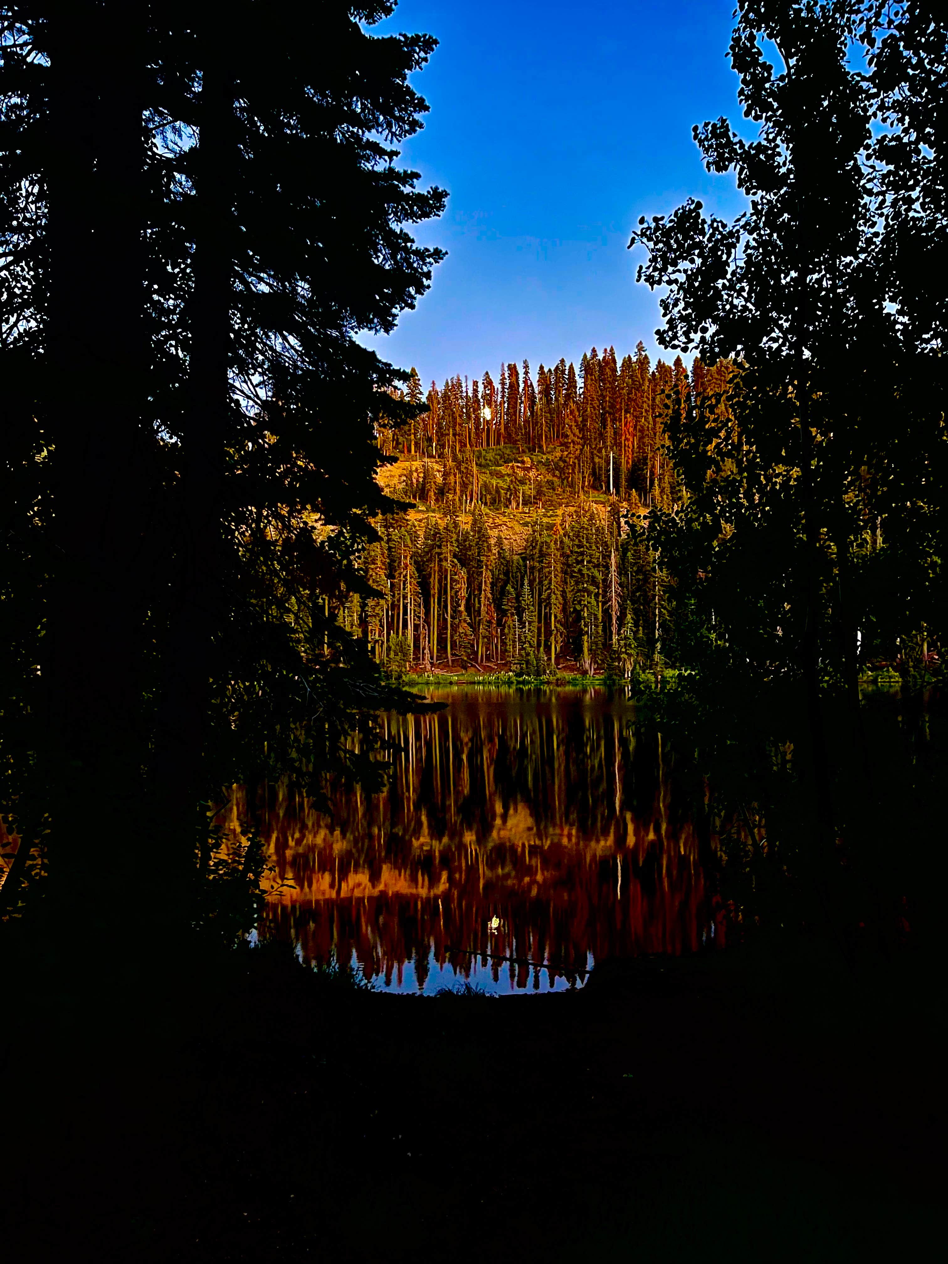 Camper submitted image from Lindsey Lake Campground - 1