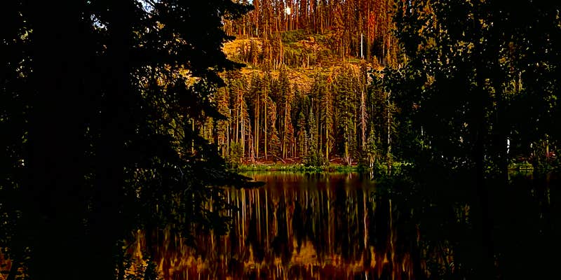 Camper submitted image from Lindsey Lake Campground