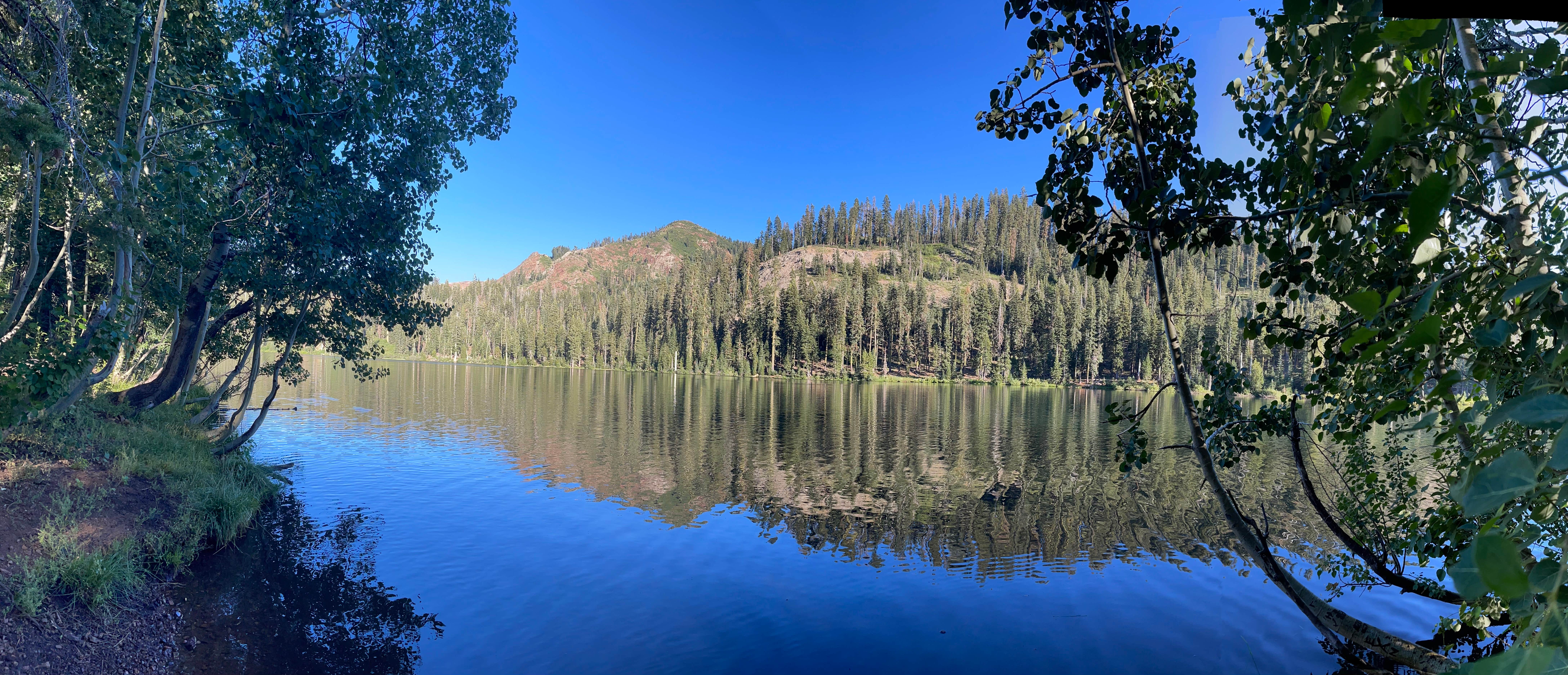 Camper-submitted photo at Lindsey Lake Campground near Washington, CA