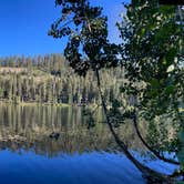 Review photo of Lindsey Lake Campground by Rebecca J., July 25, 2024