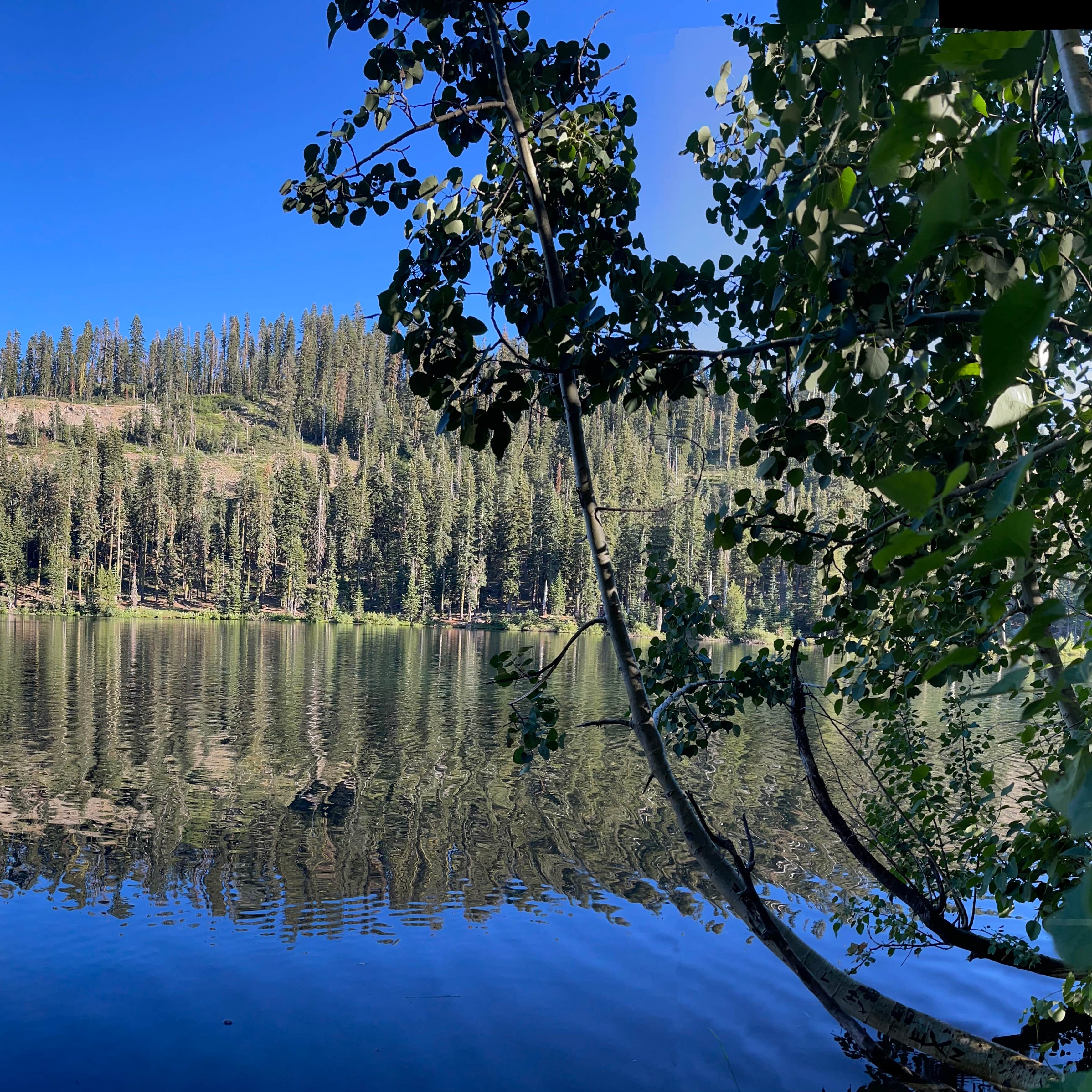 Lindsey Lake Campground Emigrant Gap, California