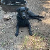 Review photo of Lindsey Lake Campground by Rebecca J., July 25, 2024