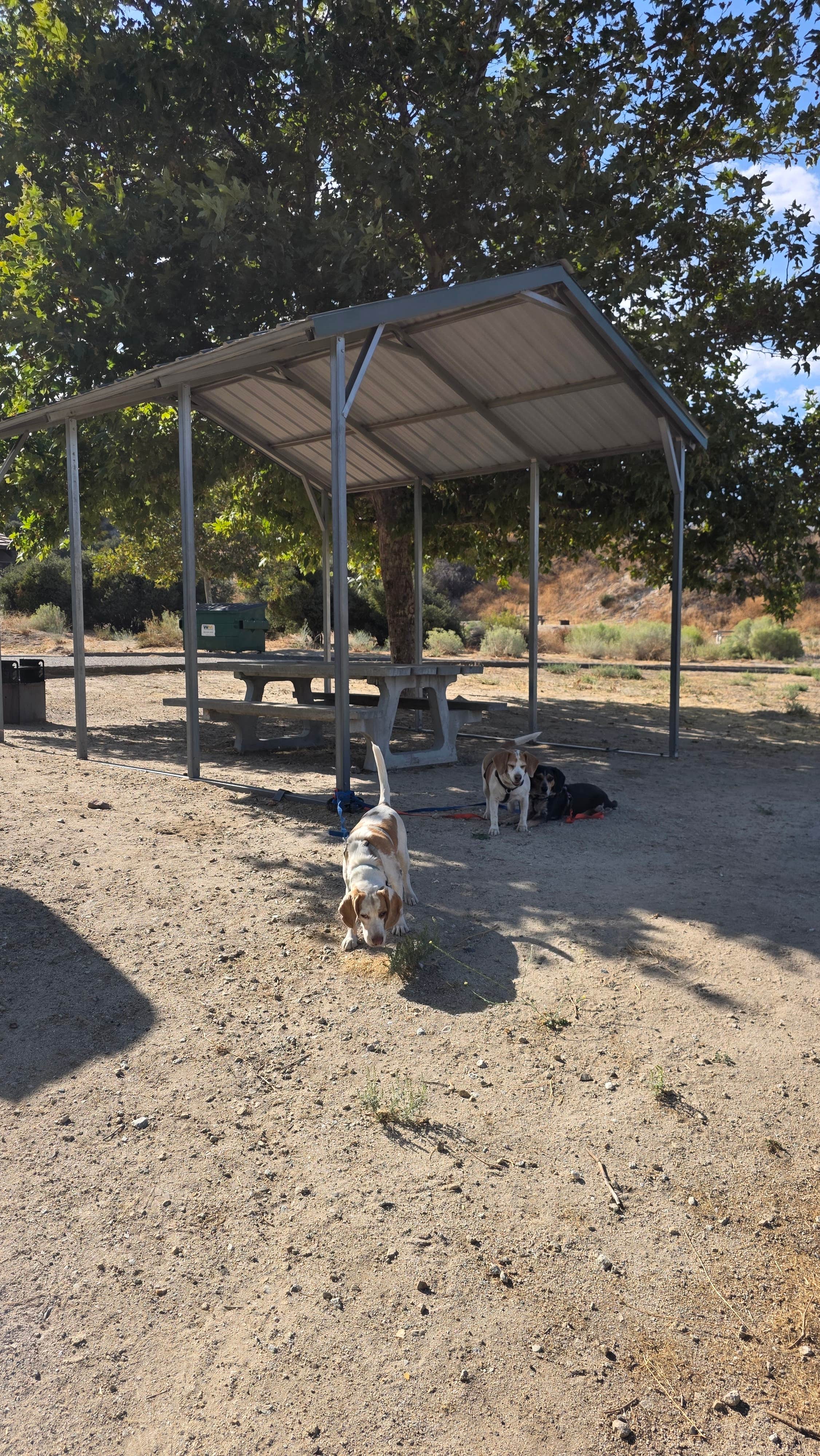 Camper-submitted photo at Los Alamos Campground near Tehachapi, CA