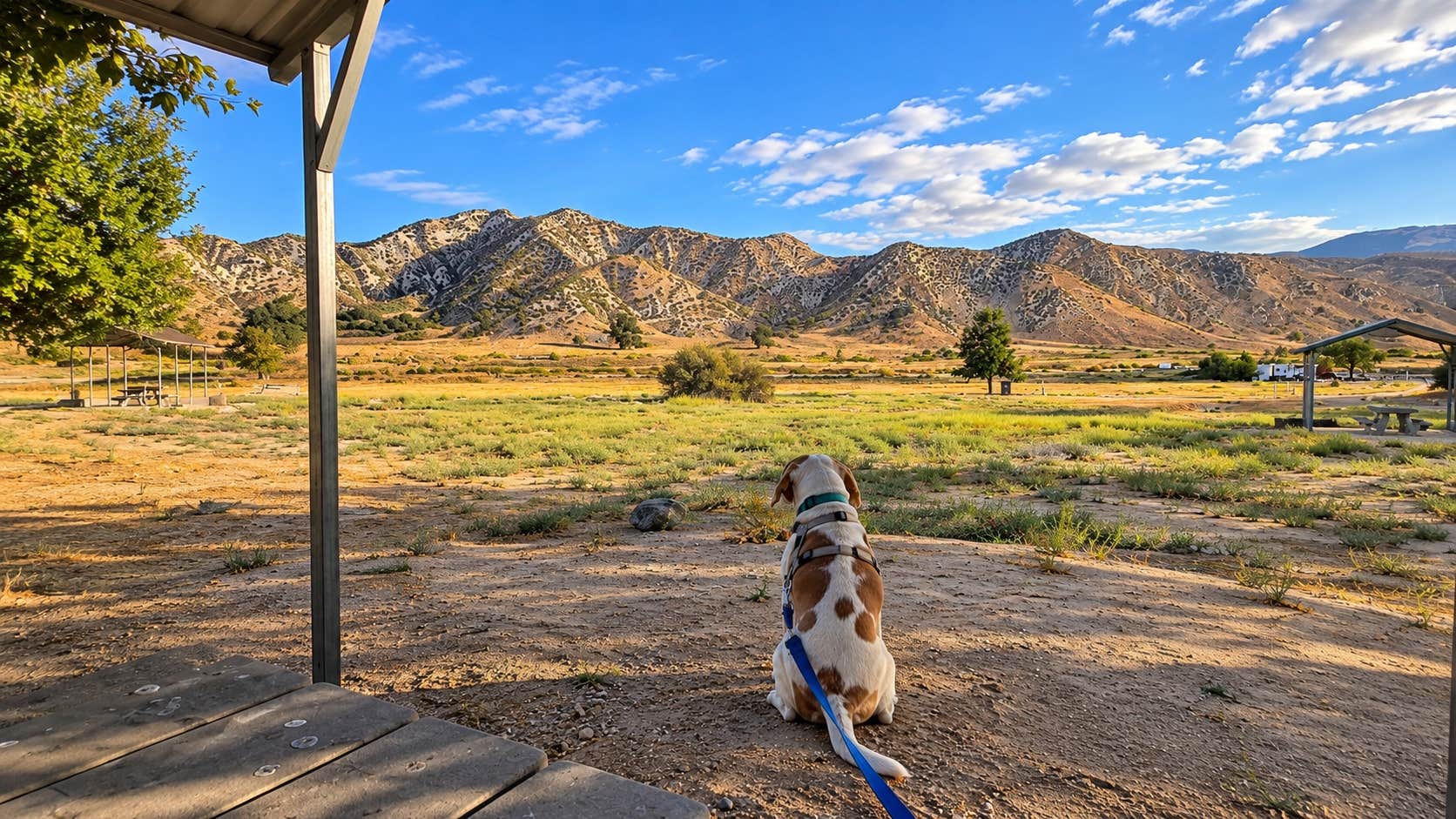 Camper-submitted photo at Los Alamos Campground near Tehachapi, CA