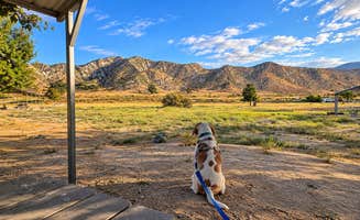 Karen K.'s photo of camping with pets at Los Alamos Campground near Mojave, CA