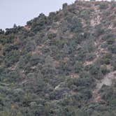 Review photo of Los Alamos Campground by Hans V., September 20, 2026