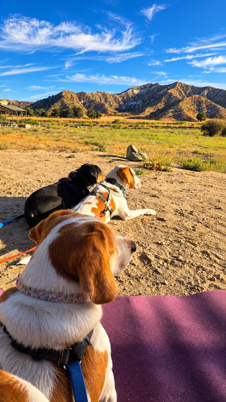 Camper-submitted photo at Los Alamos Campground near Tehachapi, CA
