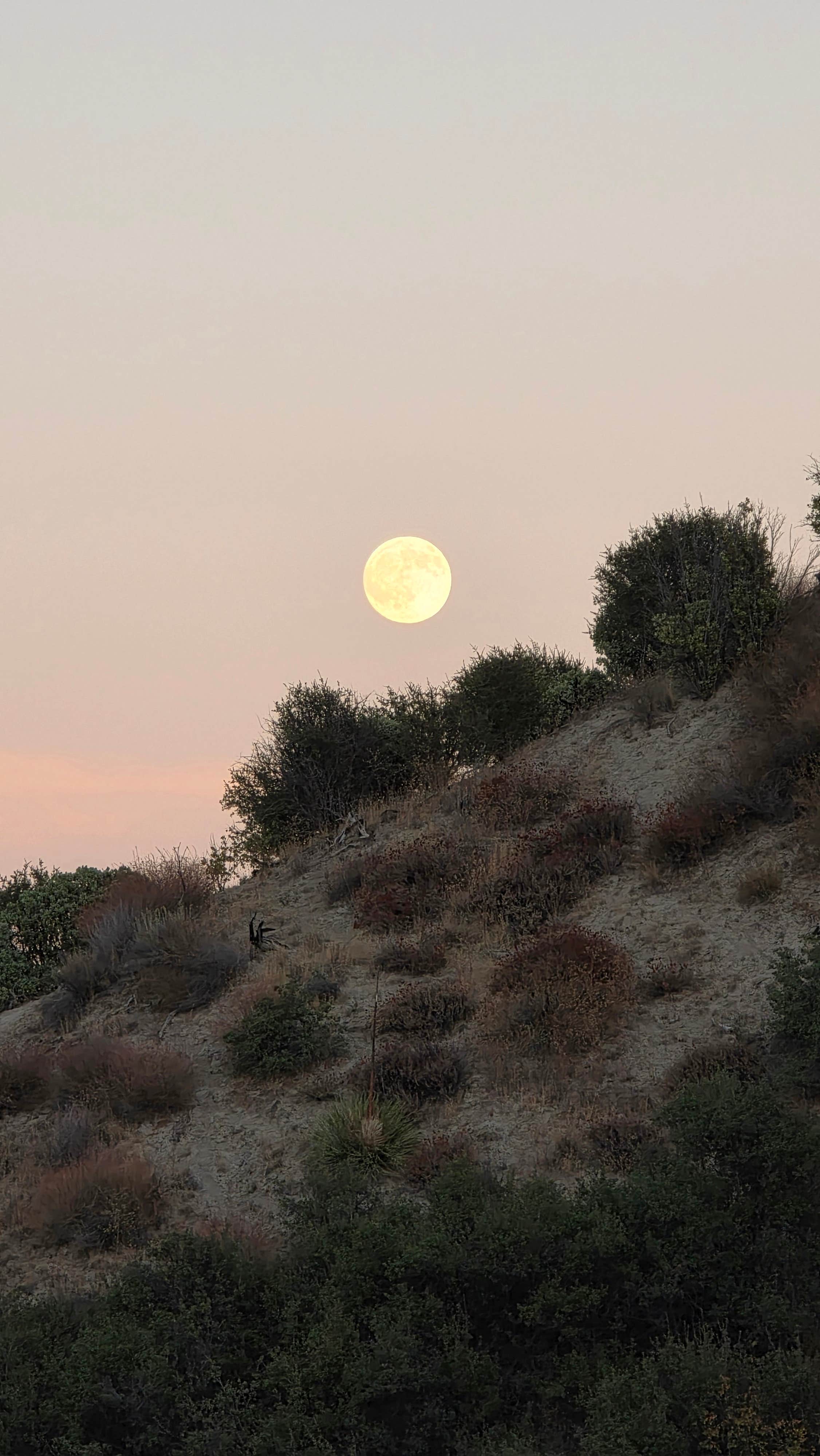 Camper-submitted photo at Los Alamos Campground near Tehachapi, CA