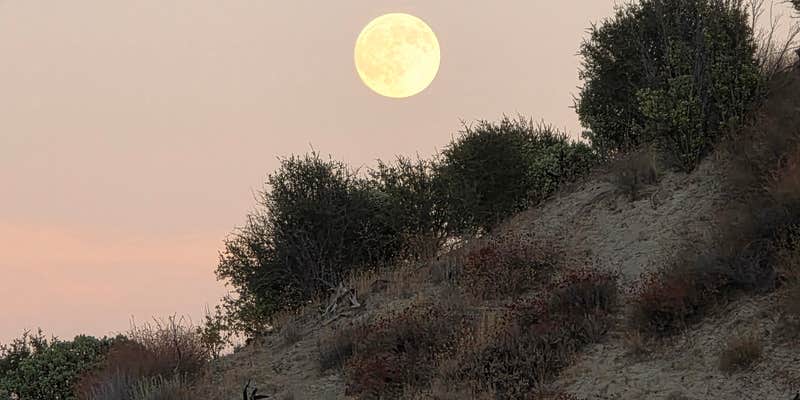 Camper submitted image from Los Alamos Campground