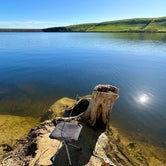 Review photo of Los Banos Creek Campground — San Luis Reservoir State Recreation Area by LILI P., March 23, 2024