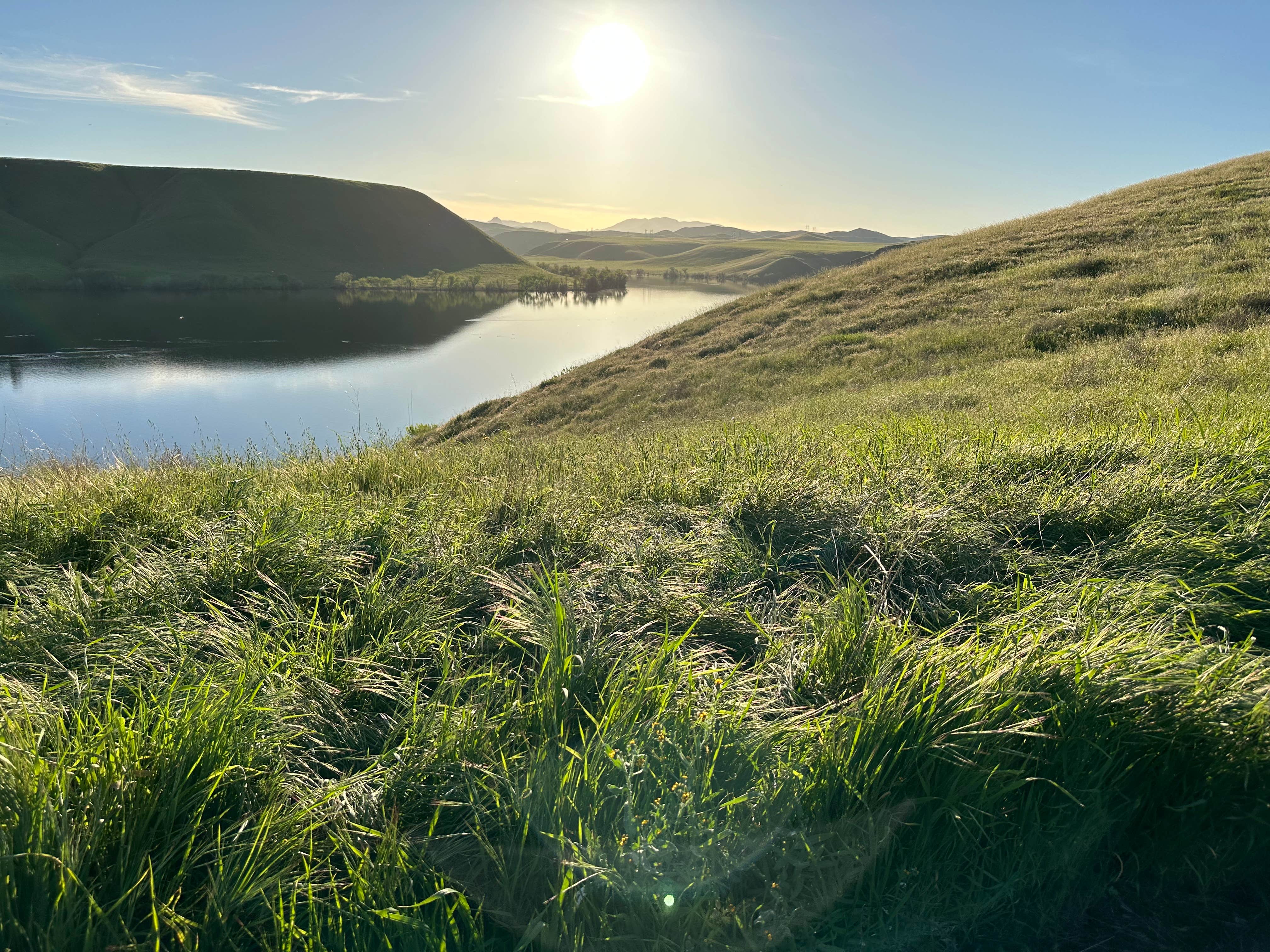Camper-submitted photo at Los Banos Creek Campground — San Luis Reservoir State Recreation Area near Gustine, CA
