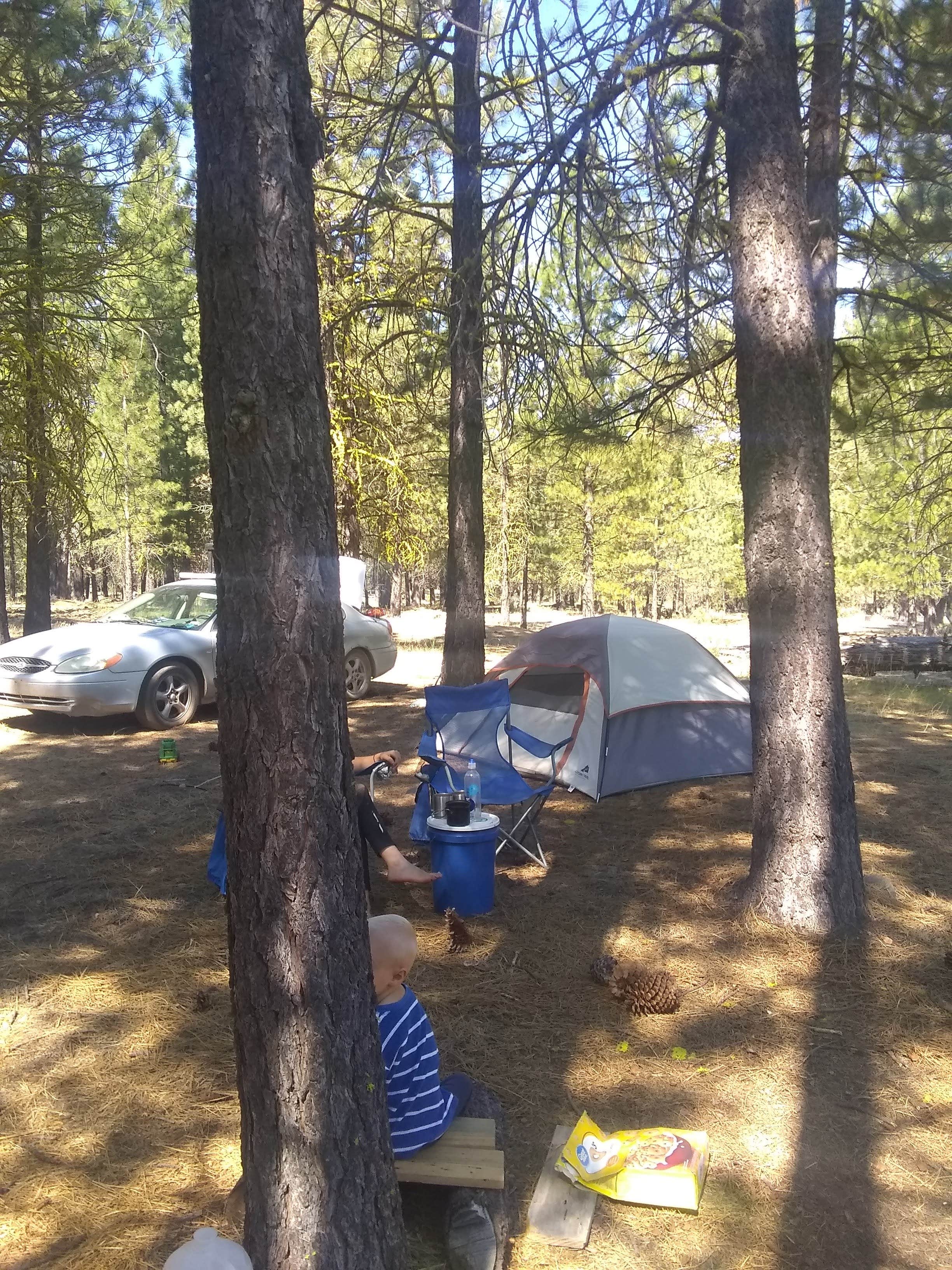 Starseed P.'s photo at Lost Creek Campground — Lassen Volcanic National Park near Whitmore, CA
