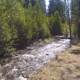 Review photo of Lost Creek Campground — Lassen Volcanic National Park by Starseed P., February 1, 2025