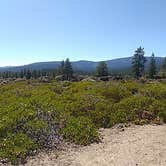 Review photo of Lost Creek Campground — Lassen Volcanic National Park by Starseed P., February 1, 2025