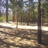 Review photo of Lost Creek Campground — Lassen Volcanic National Park by Starseed P., February 1, 2025