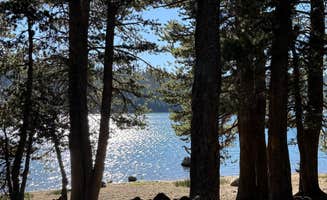 Alivia M.'s photo of camping with pets at Lower Blue Lake Campground near Eldorado National Forest