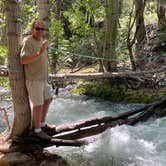 Review photo of Lundy Lake Campground by Wilbur P., June 13, 2024