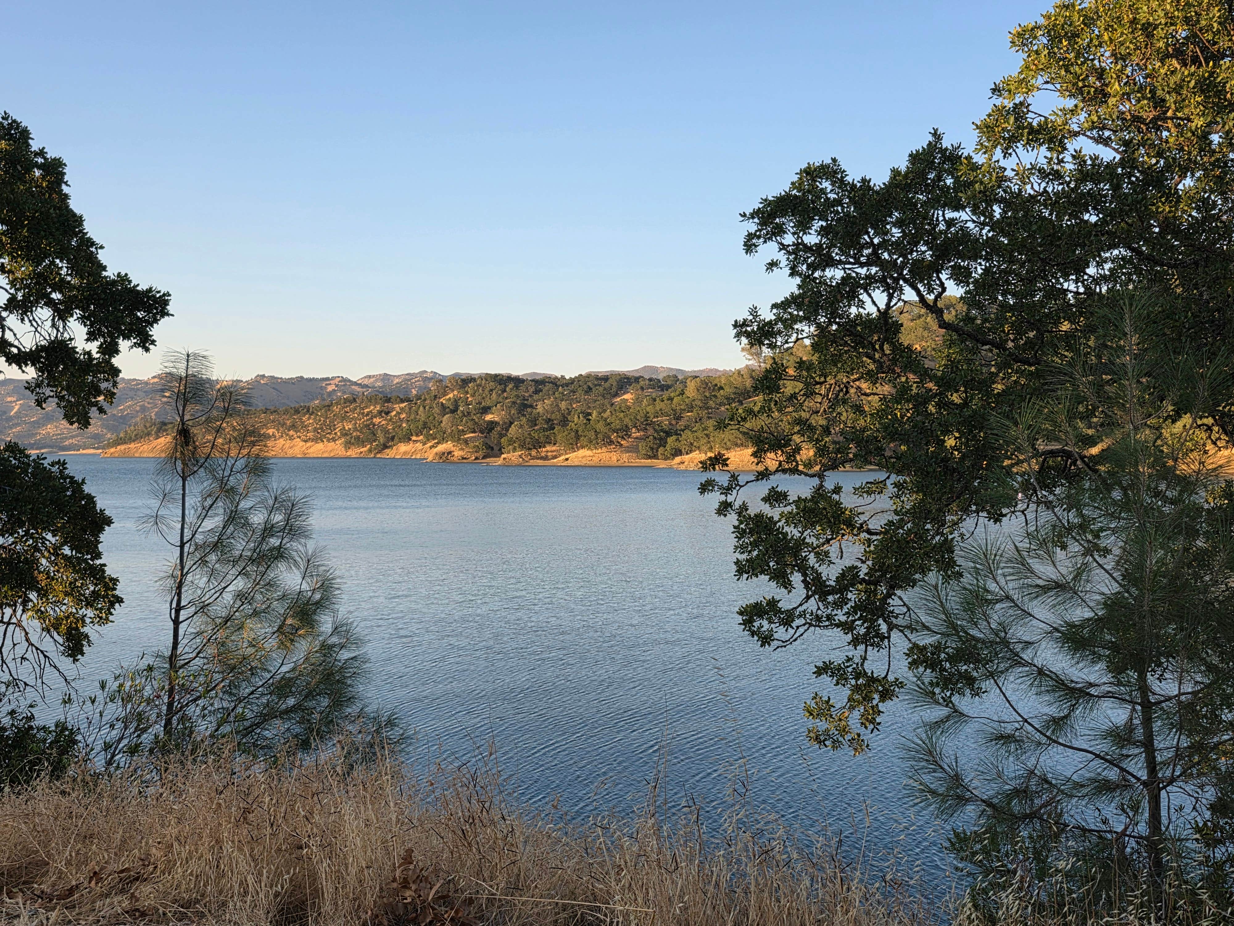 Camper-submitted photo at Steele Canyon (formerly Lupine Shores) near Winters, CA