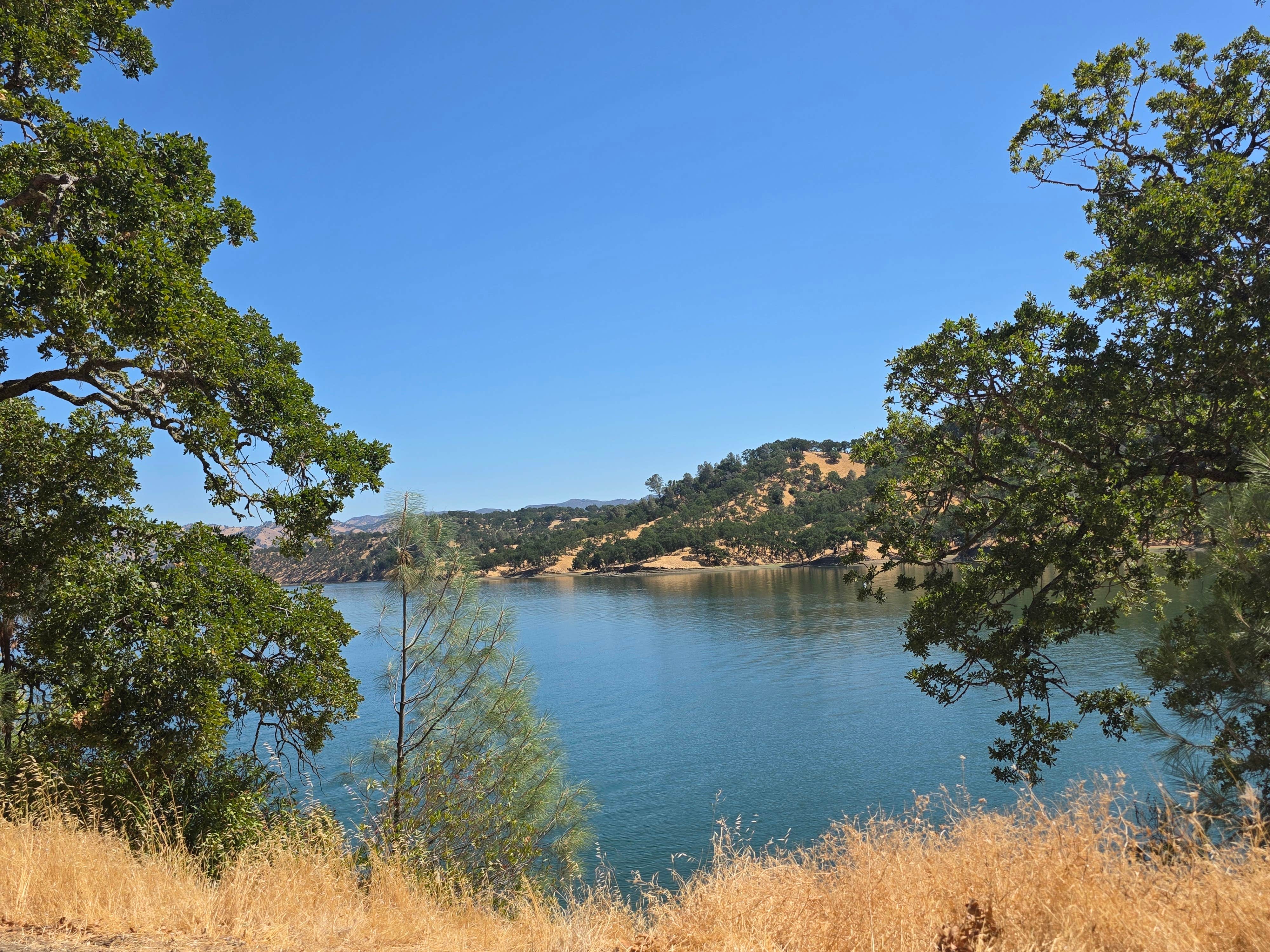 Camper-submitted photo at Steele Canyon (formerly Lupine Shores) near Winters, CA