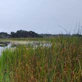 Review photo of Mackerricher State Park Campground by Rodney W., September 22, 2023