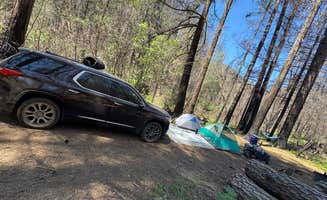 Genesis C.'s photo at Madrone Campground near Lakehead, CA