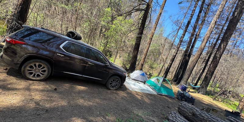 Camper submitted image from Madrone Campground