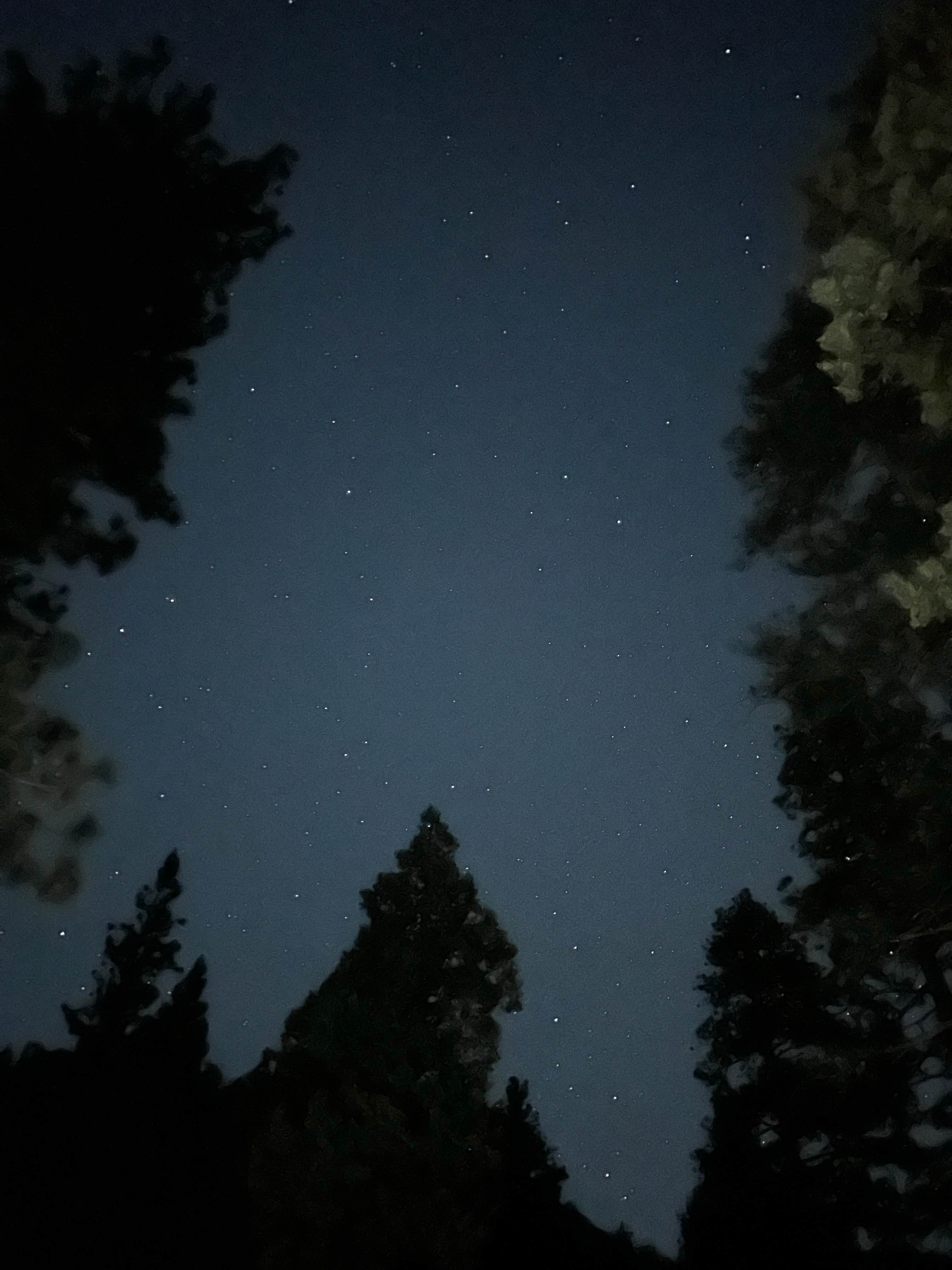 Camper-submitted photo at Manker Campground near Mount Baldy, CA