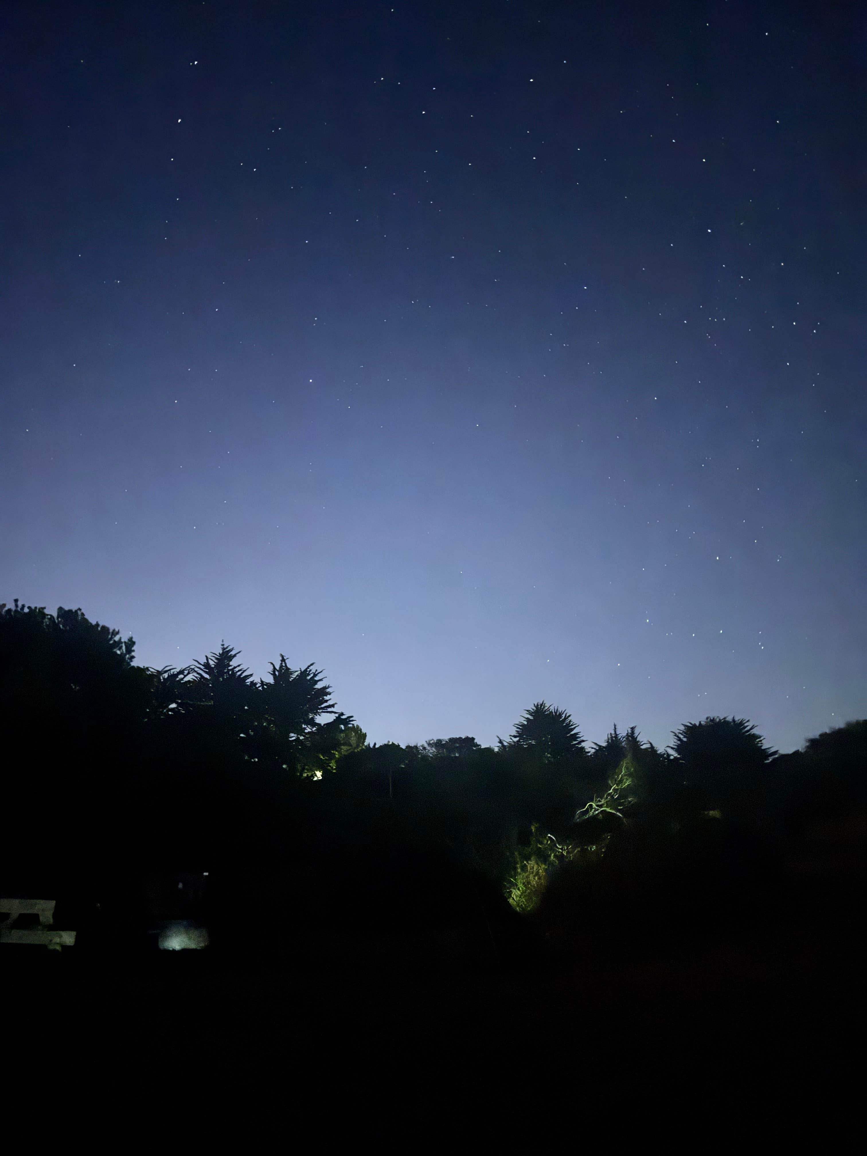 Camper-submitted photo at Manresa State Beach Campground near Moss Landing, CA