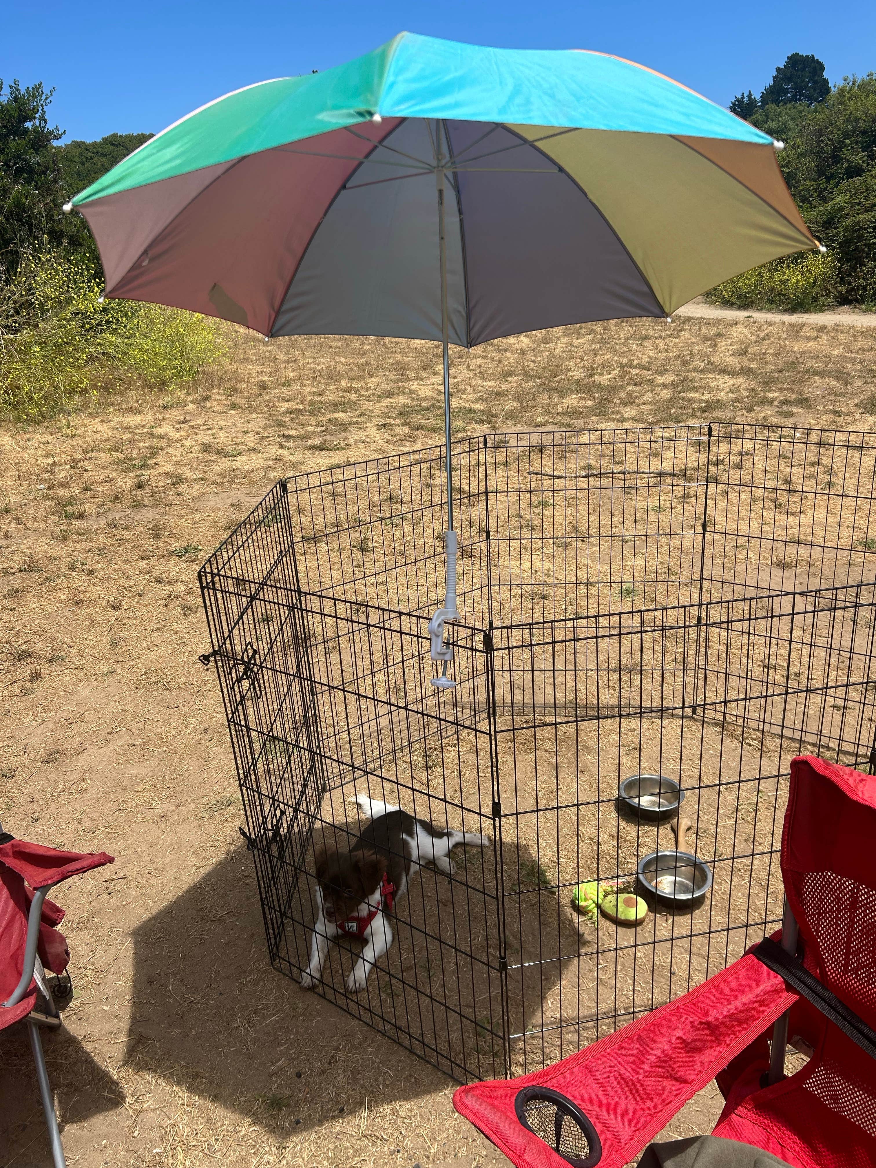 Laura D.'s photo of camping with pets at Manresa State Beach Campground near Capitola, CA