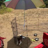 Review photo of Manresa State Beach Campground by Laura D., July 6, 2024