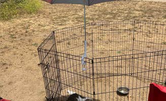 Laura D.'s photo of camping with pets at Manresa State Beach Campground near Santa Cruz, CA