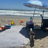 Review photo of Manresa State Beach Campground by Laura D., July 6, 2024