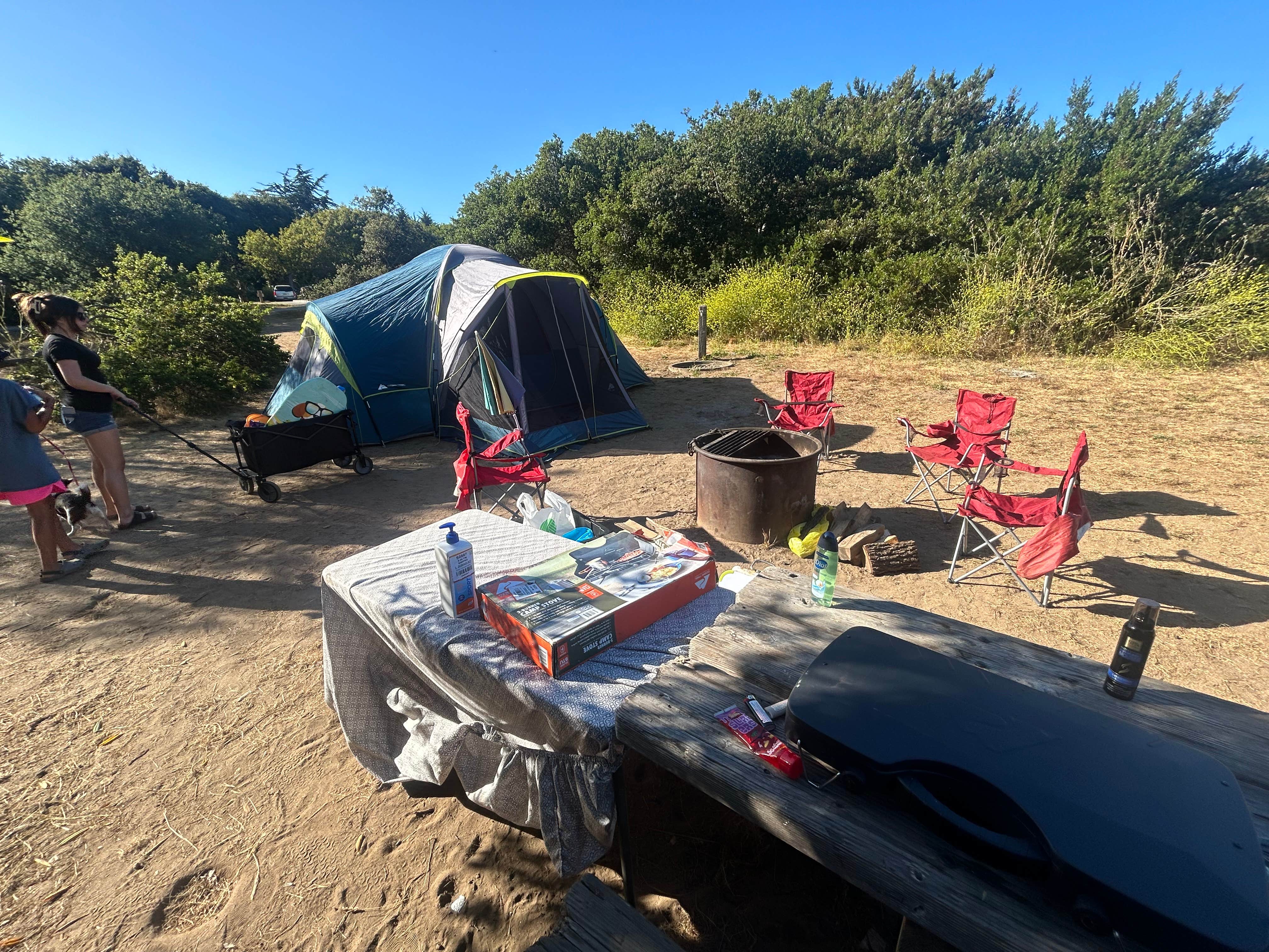 Camper submitted image from Manresa State Beach Campground - 1