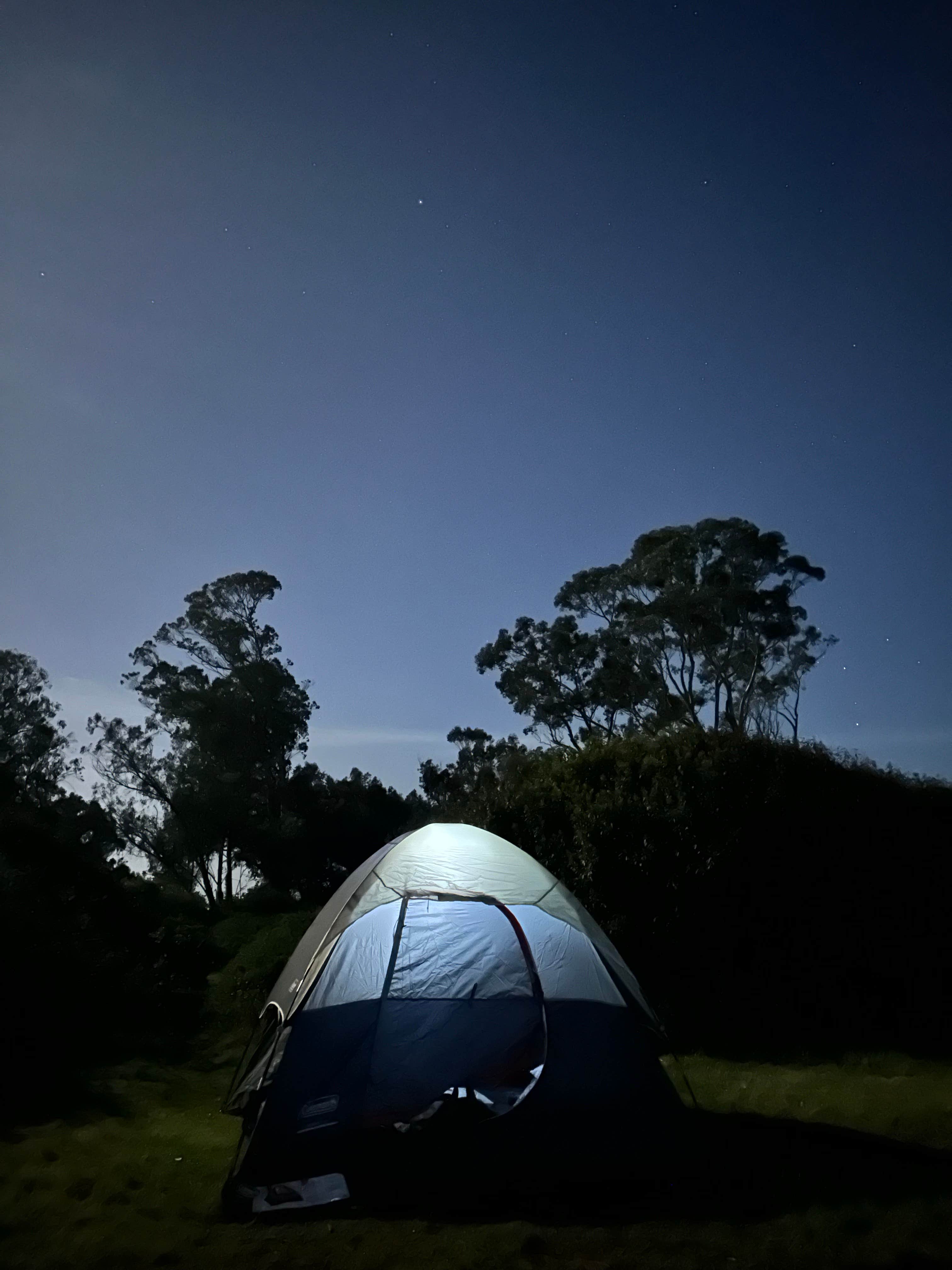 Camper submitted image from Manresa State Beach Campground - 1
