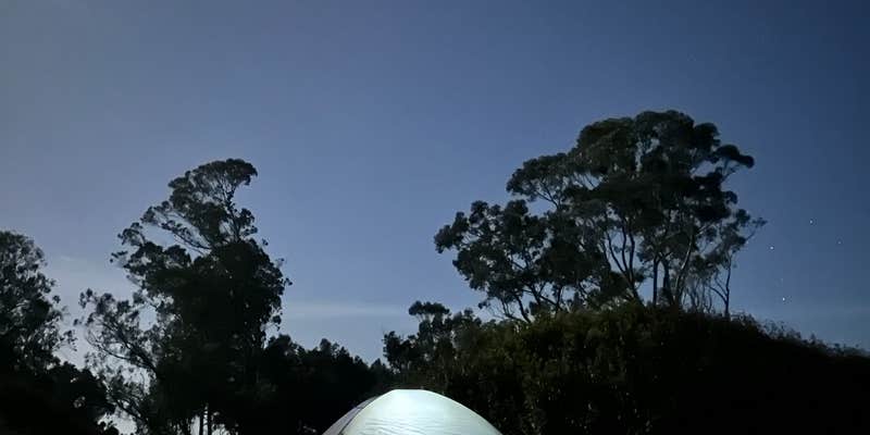 Camper submitted image from Manresa State Beach Campground