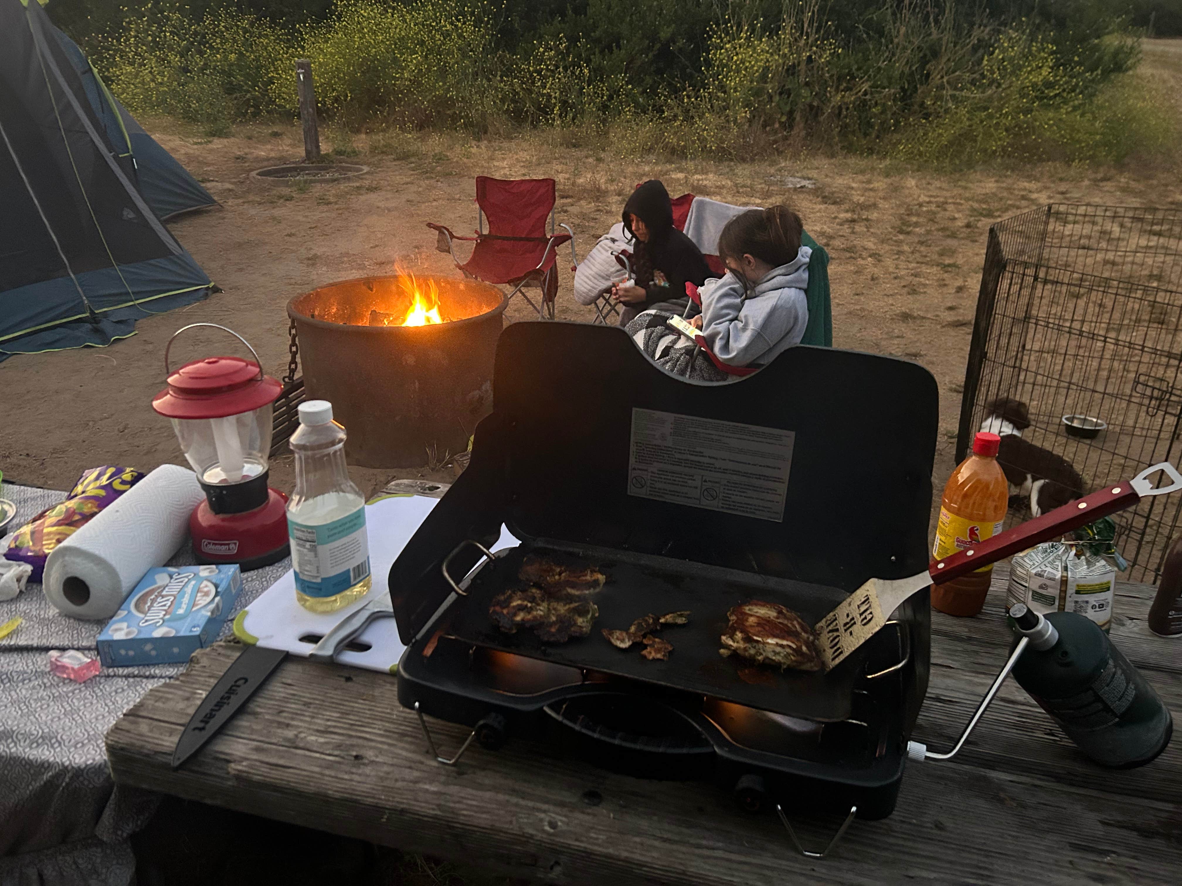 Laura D.'s photo of tent camping at Manresa State Beach Campground near Watsonville, CA