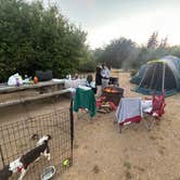 Review photo of Manresa State Beach Campground by Laura D., July 6, 2024