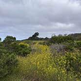 Review photo of Manresa State Beach Campground by Fiona W., April 17, 2025