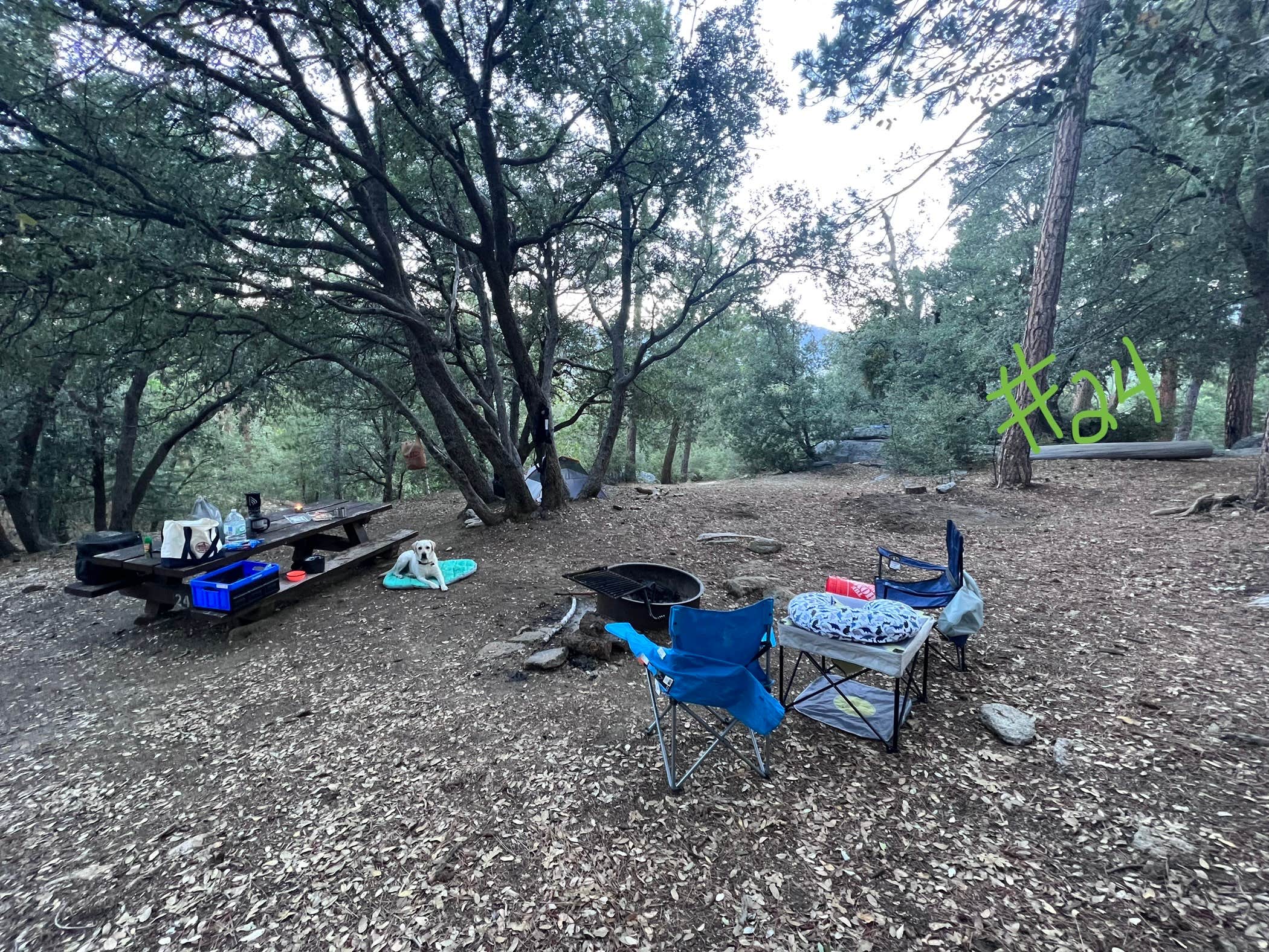 Brittany N.'s photo at Marion Mountain near Palm Springs, CA